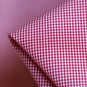 Gigi Raspberry Gingham Check