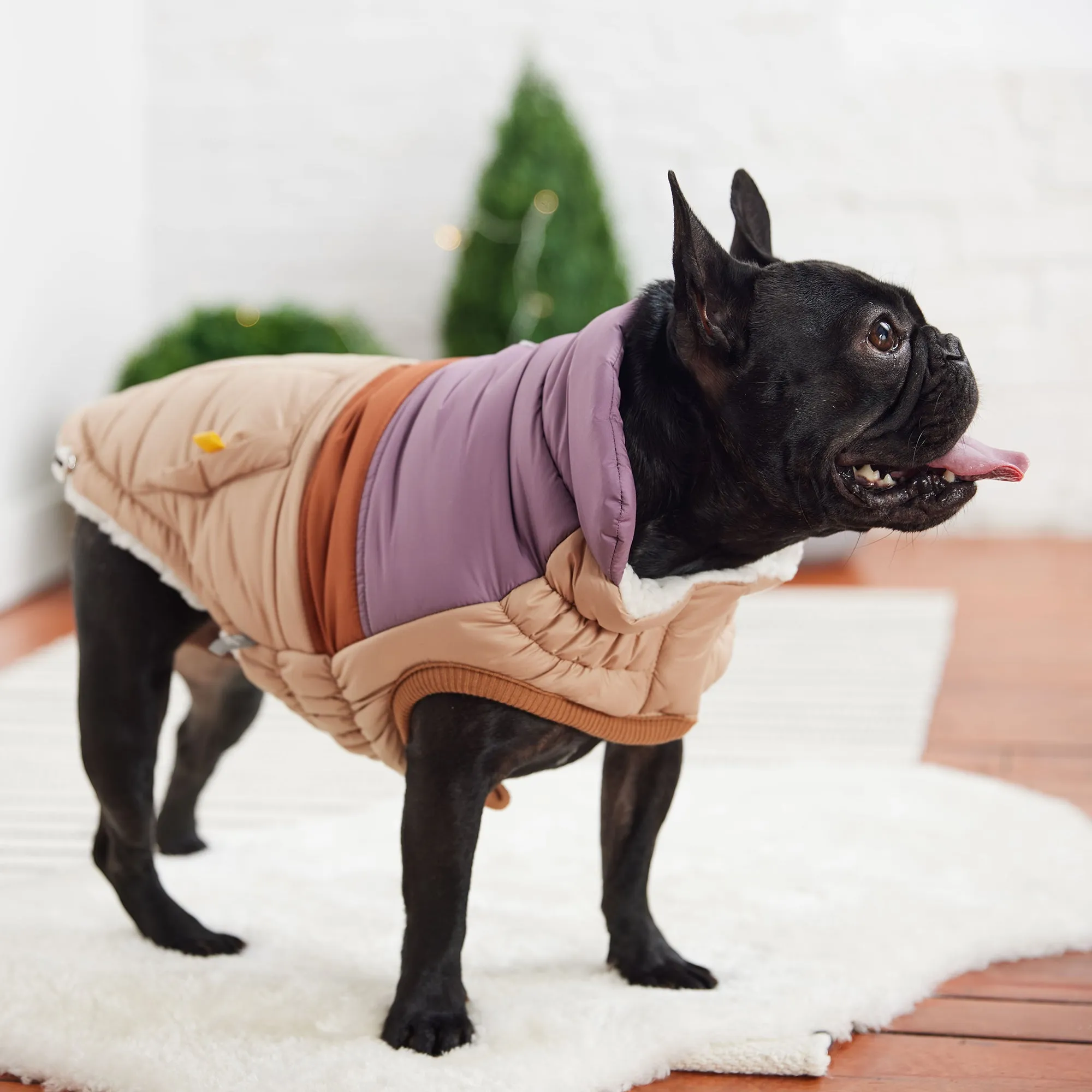 Retro Color Block Dog Puffer – Stylish, Warm, and Water-Repellent