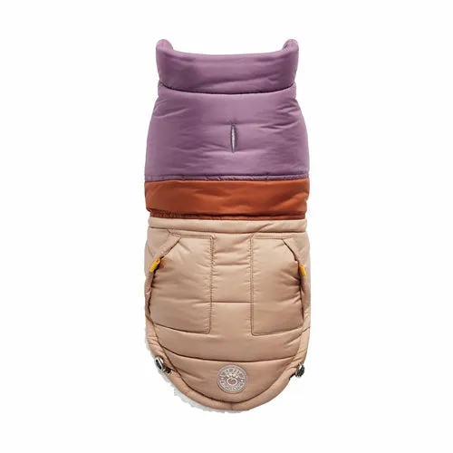 Retro Color Block Dog Puffer – Stylish, Warm, and Water-Repellent